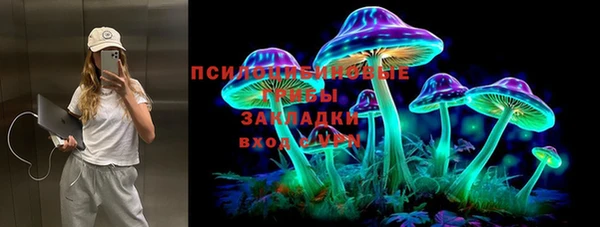 тгк Вязники