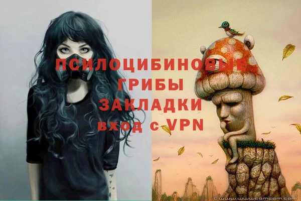 соль курить ск Вяземский