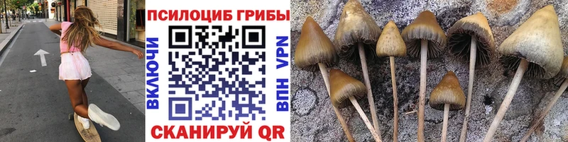 сколько стоит  Горячий Ключ  Псилоцибиновые грибы ЛСД 