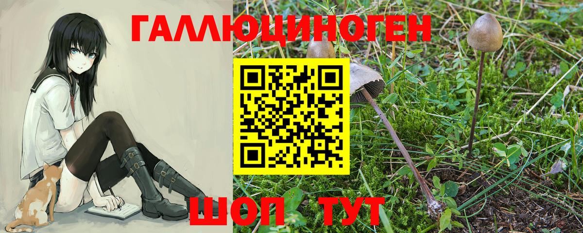 Галлюциногенные грибы прущие грибы  Псилоцибиновые грибы мицелий  Вход с VPN  Горячий Ключ 