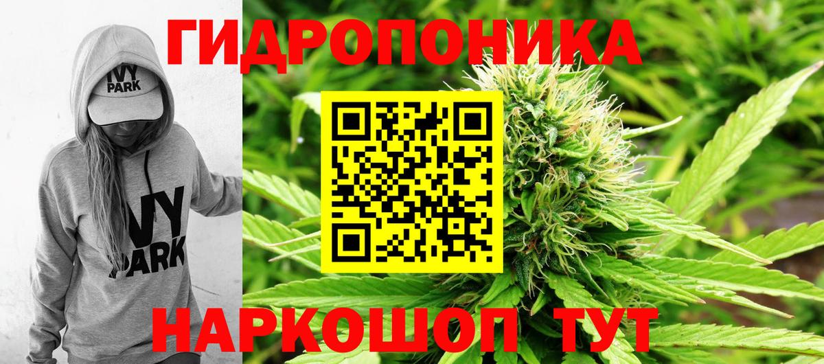 Марихуана тримм  Бошки Шишки конопля  Вход с VPN  Горячий Ключ  Канабис Bruce Banner 
